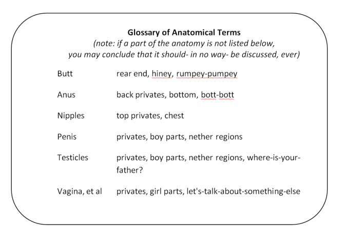 Lying guide- Anatomical terms chart